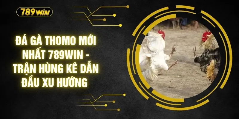 Đá Gà Thomo Mới Nhất 789WIN - Trận Kê Dẫn Đầu Xu Hướng 1 Đá Gà Thomo Mới Nhất 789WIN - Trận Kê Dẫn Đầu Xu Hướng